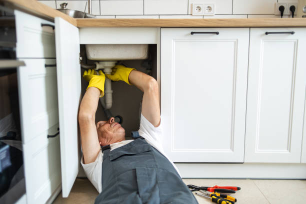 Best Plumbing Inspection Services  in Clio, AL