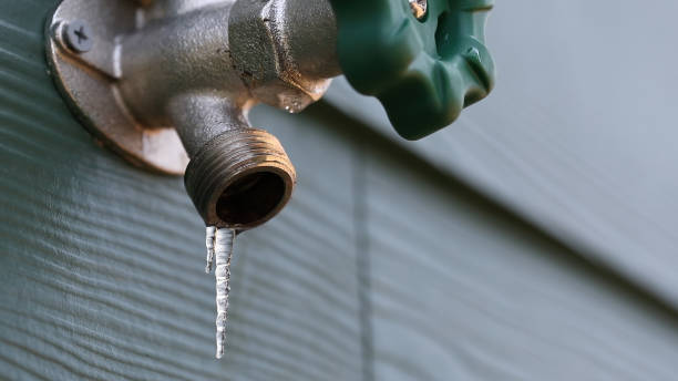 Best Same-Day Plumbing Service  in Clio, AL