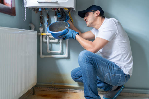Best Plumbing Inspection Services  in Clio, AL